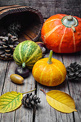 Image showing Three decorative pumpkins