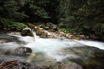 Image showing Crni Drim River in Macedonia