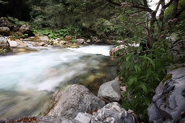 Image showing Crni Drim River in Macedonia