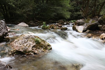 Image showing Crni Drim River in Macedonia