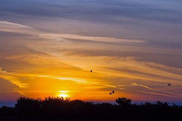 Image showing Sunrise over Seaford