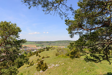 Image showing Trees in Bavarian Altmuhltal