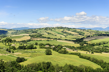 Image showing Typical landscape Marche