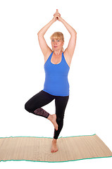 Image showing Yoga trainer standing on one leg.