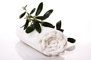 Image showing olive bath