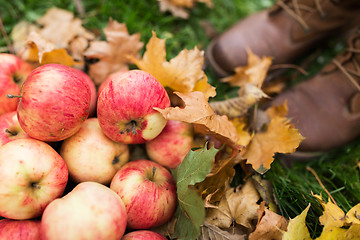 Image showing woman feet in boots with apples and autumn leaves