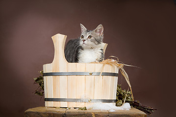 Image showing Cat In The Bath