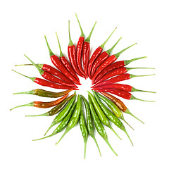 Image showing Arrangement of Chili Peppers