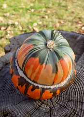 Image showing Green and orange French turban squash on a weathered tree stump