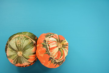 Image showing Two Turks turban squash on a wooden background painted teal