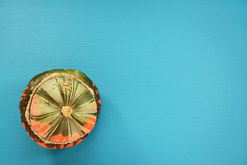 Image showing Green and orange Turks turban squash on a teal background