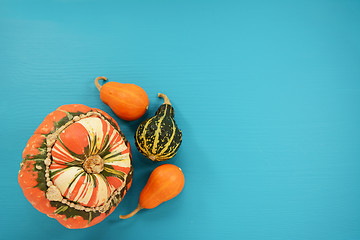 Image showing Turks turban squash with orange and green ornamental gourds