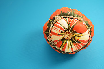 Image showing Turks turban squash on a bright blue painted background
