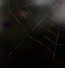 Image showing Trap spider web on dark background