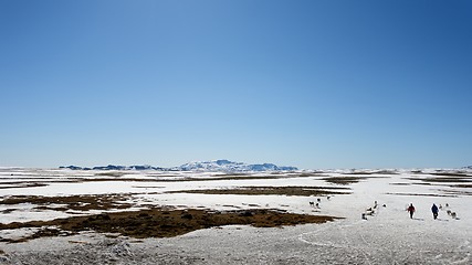 Image showing Landscape on Iceland