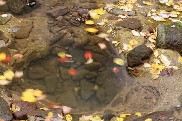 Image showing Lake in autumn