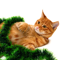 Image showing Red-headed kitten lying on its side in Christmas tinsel