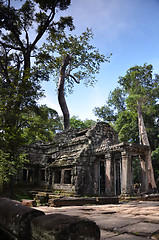 Image showing Ta Prohm Temple, Angkor, Cambodia