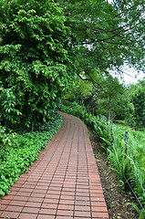 Image showing Red brick path in Singapore Botanic Garden