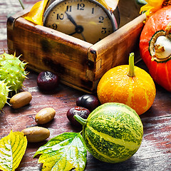 Image showing autumn harvest