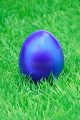 Image showing Blue eater egg