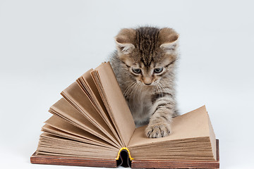 Image showing Little Kitten Reading Book