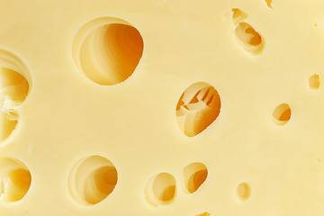 Image showing Cheese texture