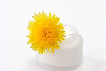 Image showing Cream with Dandelion flower