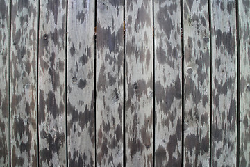 Image showing  spotted wooden fence  