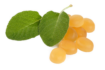 Image showing Sage cough drops