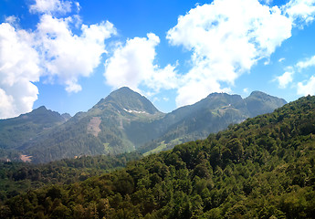 Image showing The mountainous landscape of the slopes covered by forest.