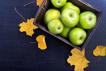 Image showing crop of apples