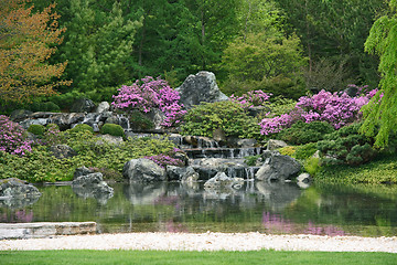 Image showing Flowering Japanese garden