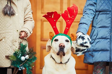 Image showing Christmas walk with dog