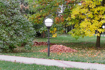 Image showing Autumn landscape: autumn in the Park.