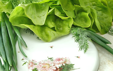 Image showing Vegetables: green onions, lettuce and dill