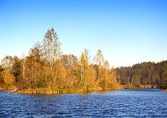 Image showing The autumn wood on the bank of the big beautiful lake