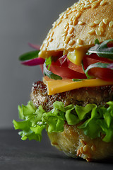 Image showing Close-up of home made tasty burger