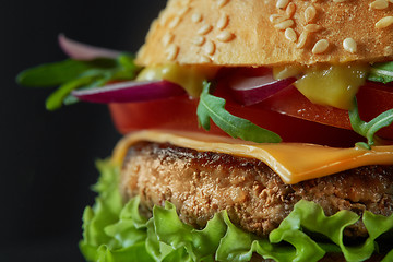 Image showing Close-up of home made tasty burger