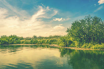 Image showing Lake in wild nature in the summer