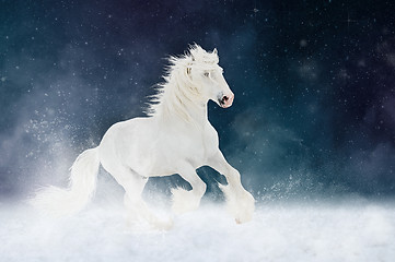 Image showing White Shire horse stallion runs gallop over star sky background