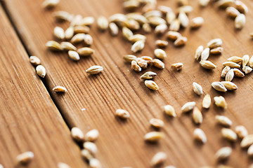 Image showing close up of malt or cereal grains