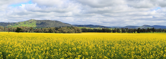 Image showing Scenic viiews of Wattamondara