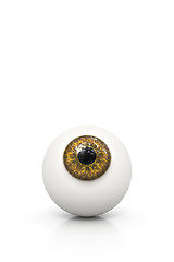 Image showing brown eyeball