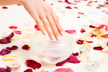 Image showing Female gentle hand on bowl with water