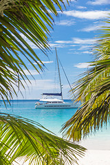 Image showing Catamaran sailing boat seen trough palm tree leaves on beach, Seychelles.