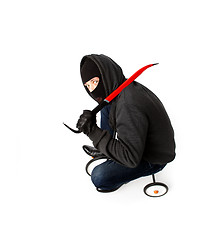 Image showing Burglar going with lock pick