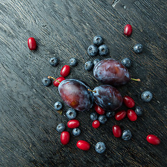 Image showing Blueberry, plum and dogwood