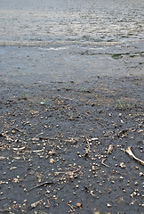 Image showing beach pollution