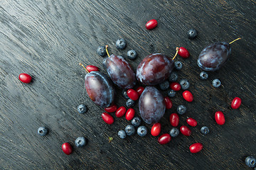 Image showing Blueberry, plum and dogwood